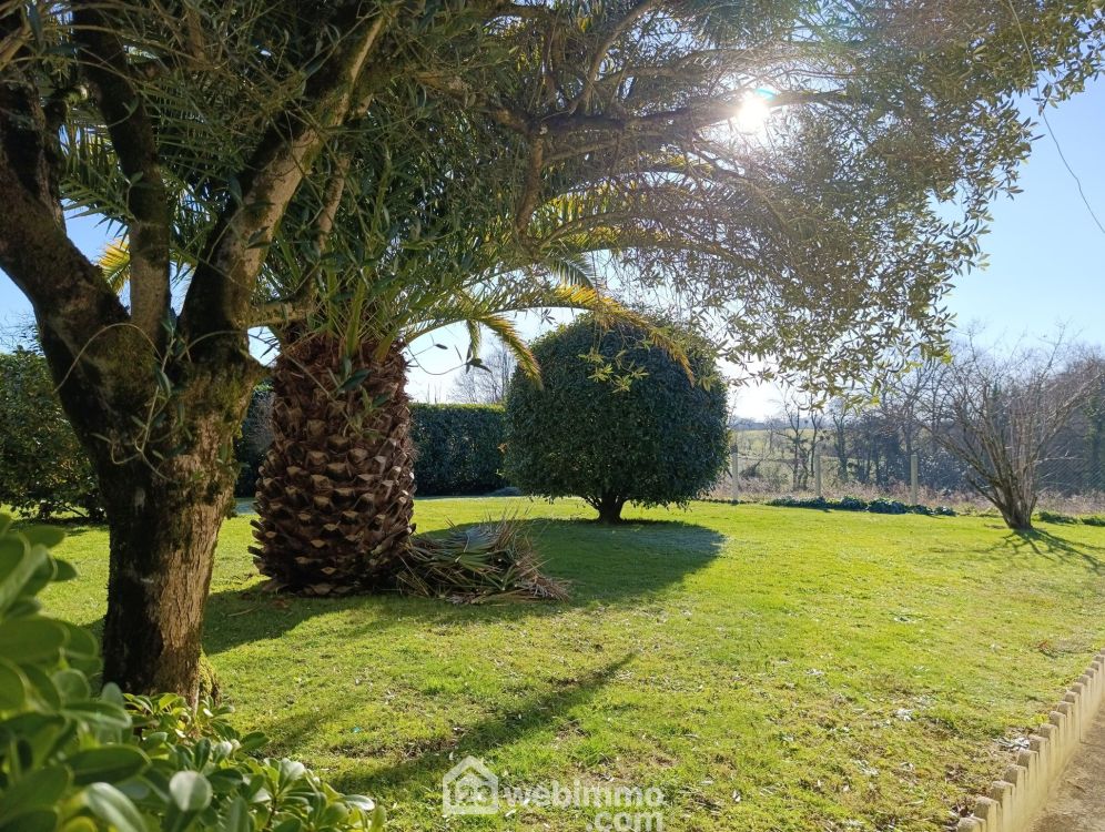 Photo 8 - Hagetmau 40700 à Hagetmau