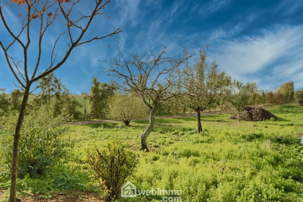 Photo 24 - Rouillé 86480 à Rouillé