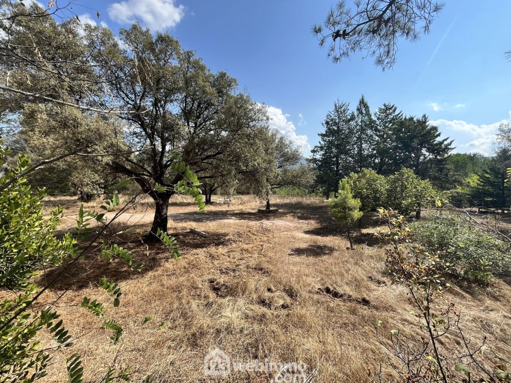 Photo 5 - Moltifao 20218 à Moltifao