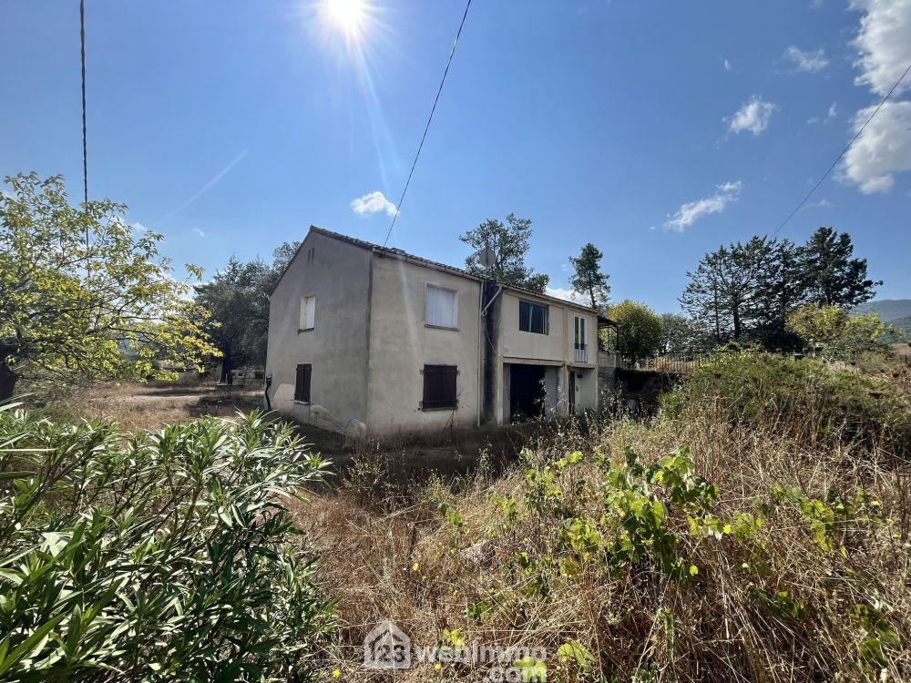 Photo 10 - Moltifao 20218 à Moltifao