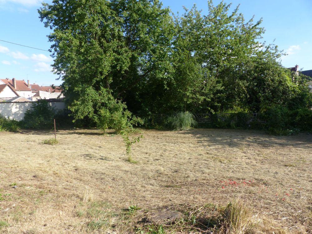 Photo 9 - Vailly-sur-Aisne 02370 à Vailly-sur-Aisne