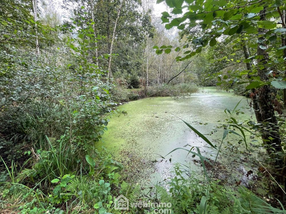 Photo 6 - Chaillevois 02000 à Chaillevois