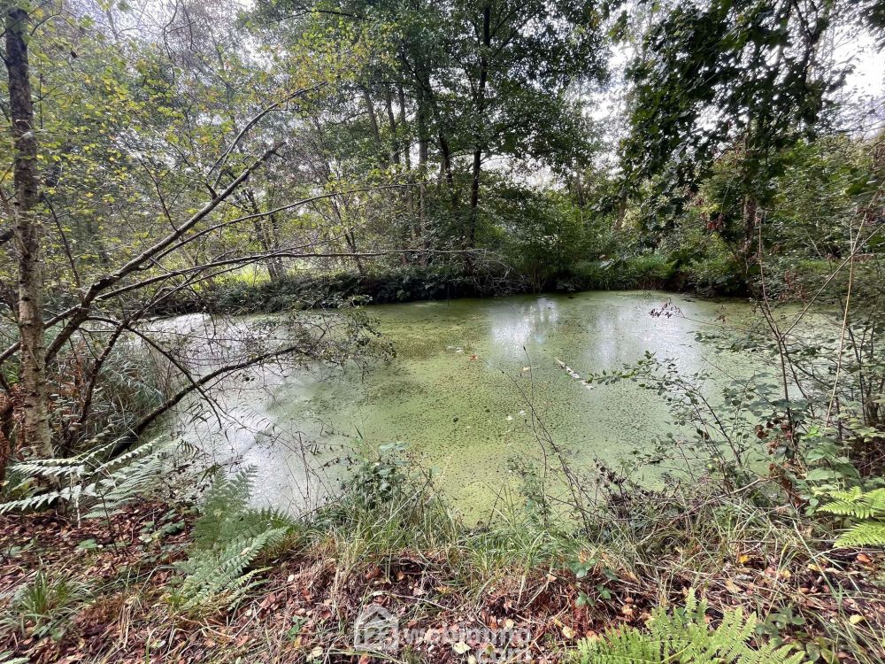 Photo 3 - Chaillevois 02000 à Chaillevois