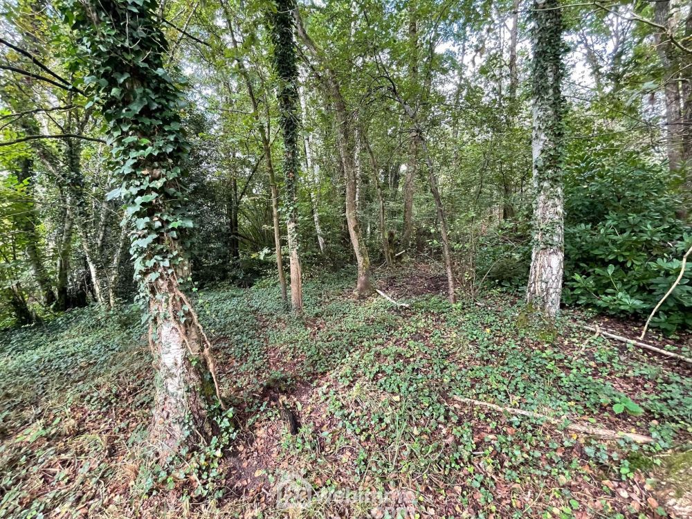 Photo 4 - Chaillevois 02000 à Chaillevois