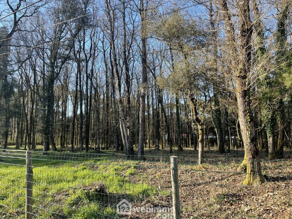 Photo 2 - Jard-sur-Mer 85520 à Jard-sur-Mer