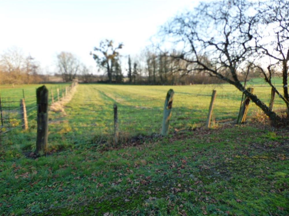 Photo 15 - Bettancourt-la-Longue 51330 à Bettancourt-la-Longue