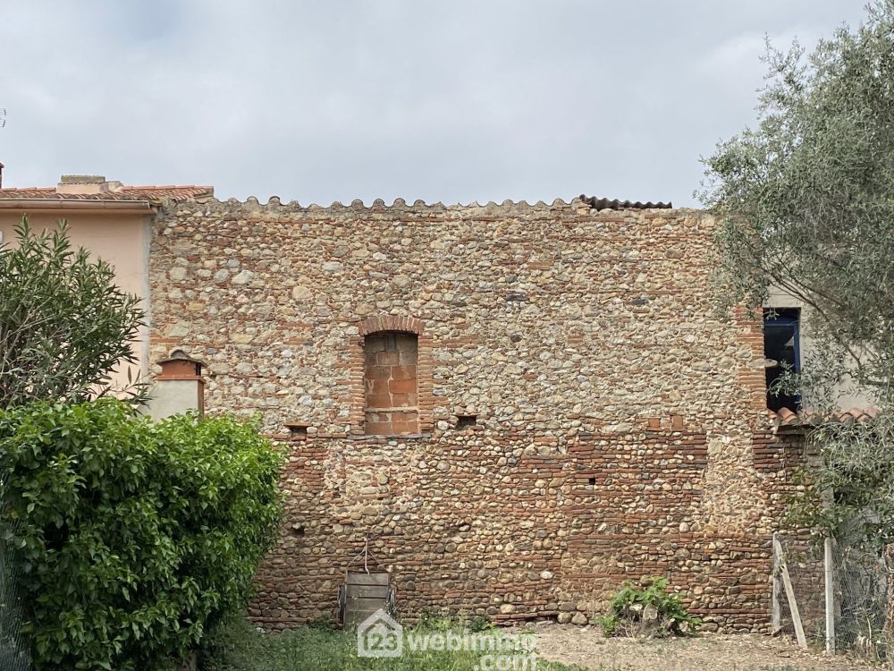 Photo 10 - Saint-Cyprien 66750 à Saint-Cyprien