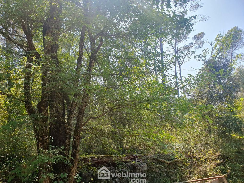 Photo 1 - Le Thoronet 83340 à Le Thoronet