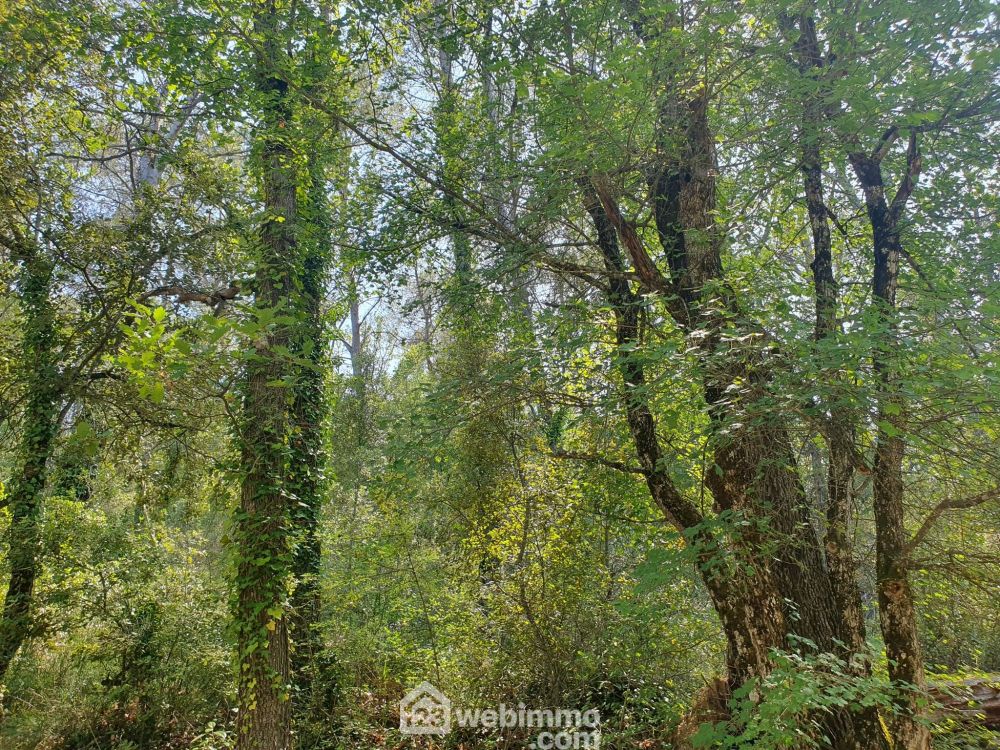 Photo 2 - Le Thoronet 83340 à Le Thoronet