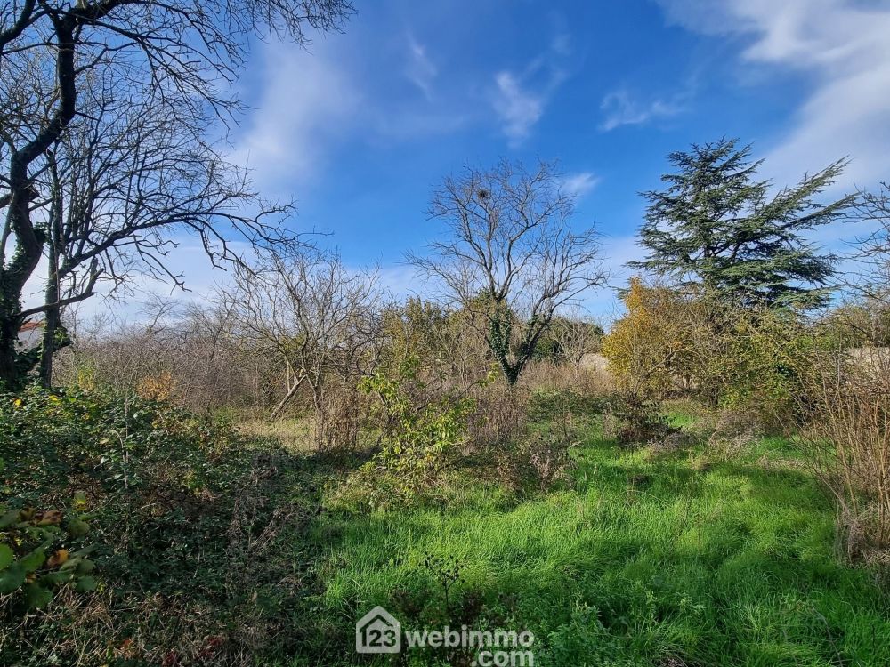 Photo 23 - Neuville-de-Poitou 86170 à Neuville-de-Poitou