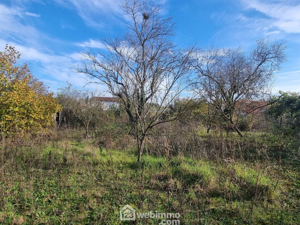 Photo 24 - Neuville-de-Poitou 86170 à Neuville-de-Poitou