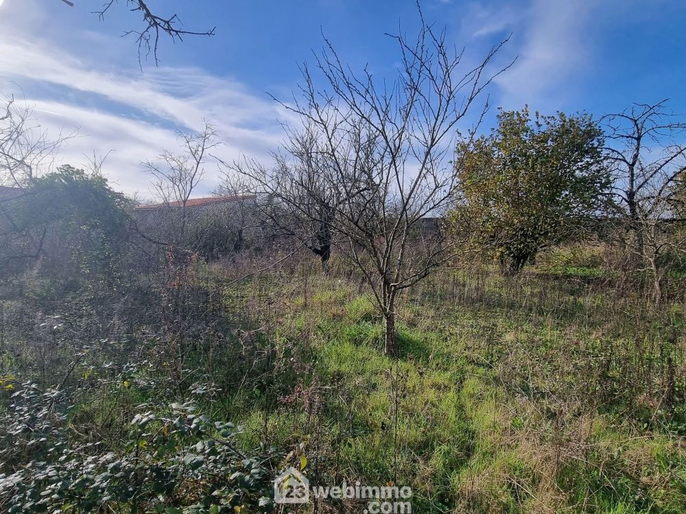 Photo 25 - Neuville-de-Poitou 86170 à Neuville-de-Poitou