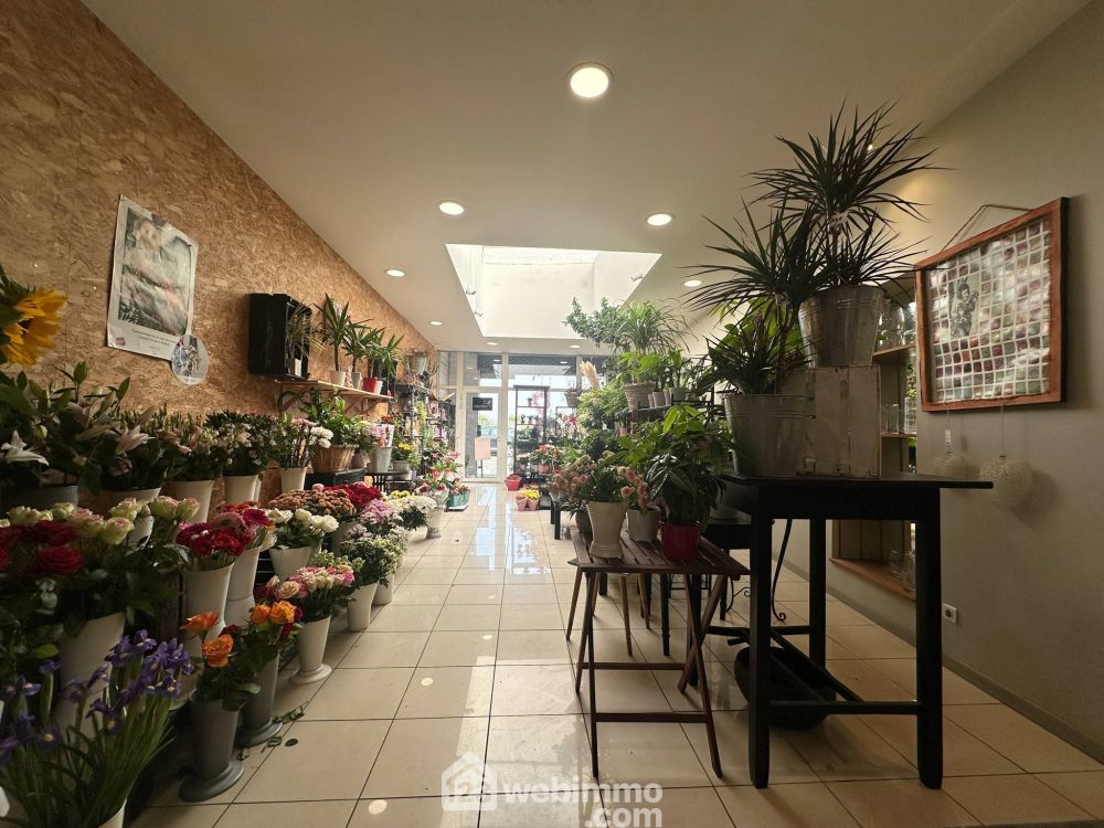 Photo 5 - Laon 02000 à Laon