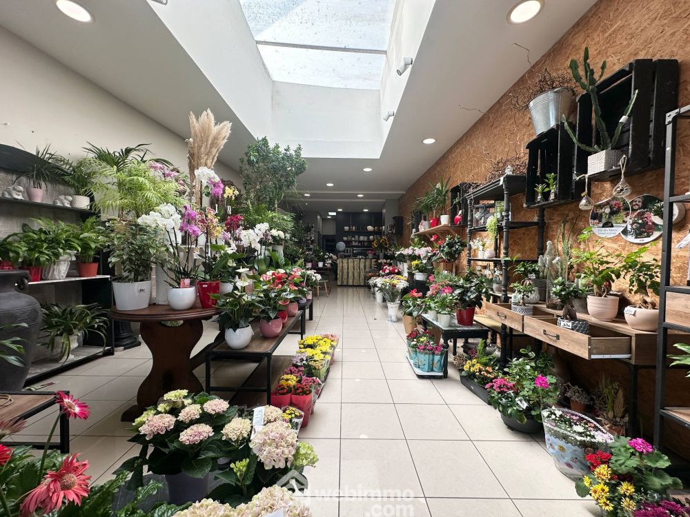 Photo 8 - Laon 02000 à Laon