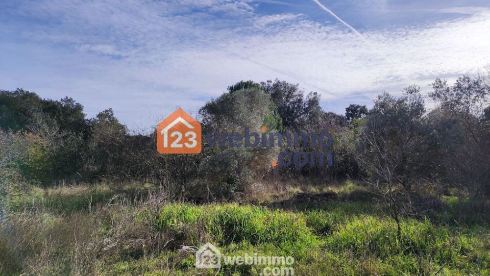 Photo 2 - Cornillon-Confoux 13250 à Cornillon-Confoux