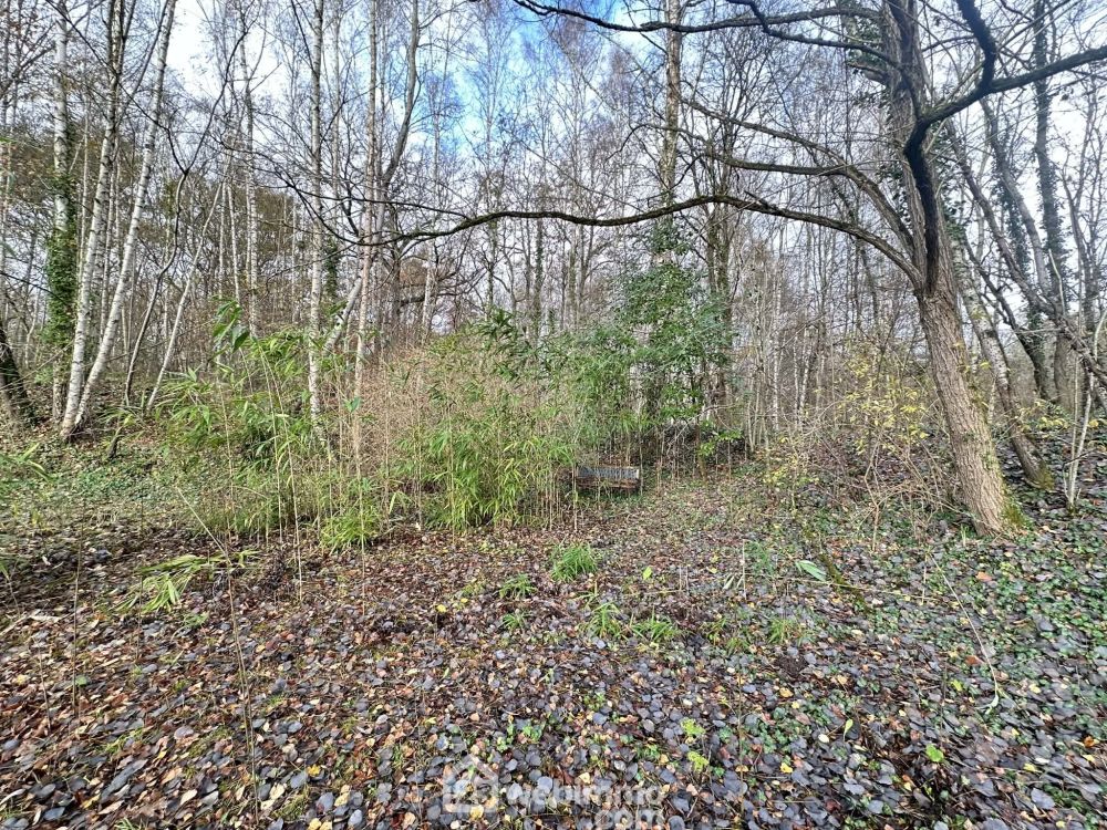 Photo 12 - Étouvelles 02000 à Étouvelles