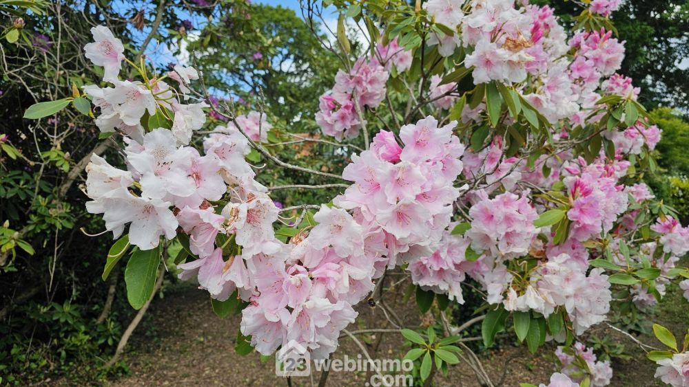 Photo 4 - Ger 64530 à Ger