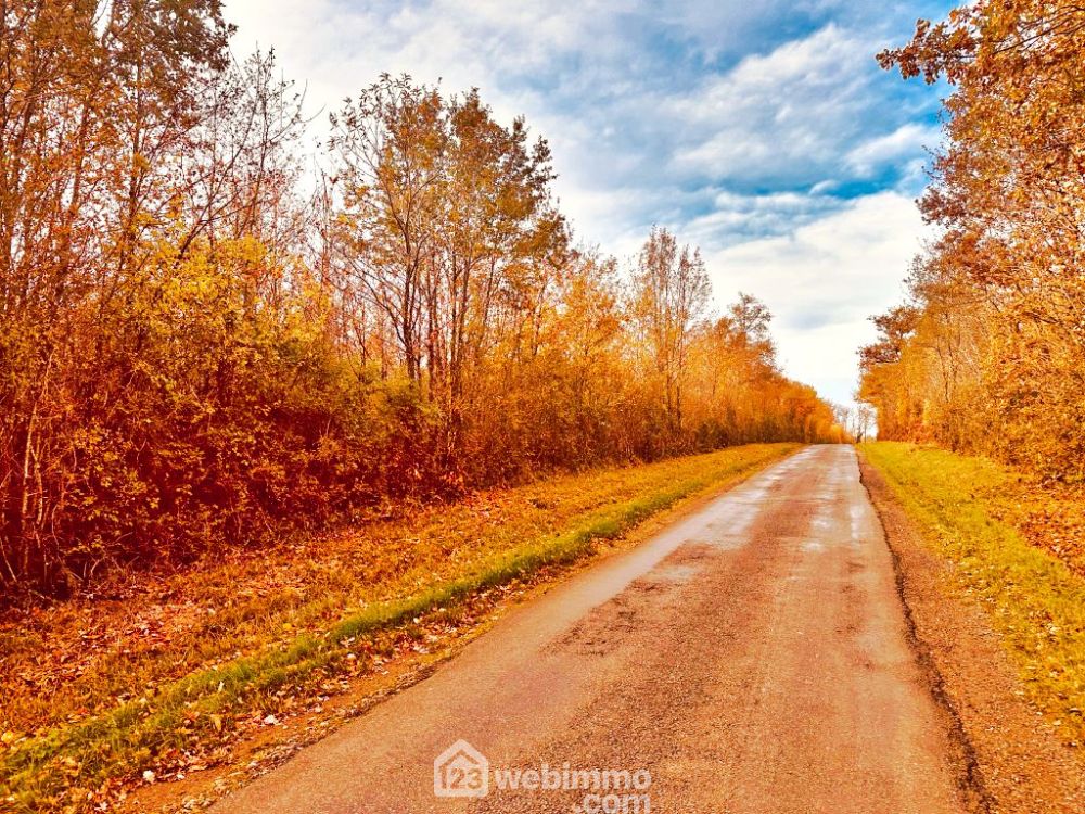 Photo 2 - Celle-Lévescault 86600 à Celle-Lévescault