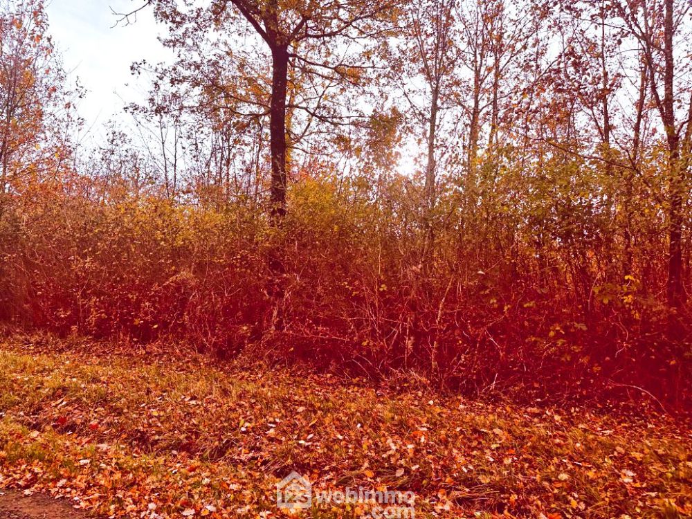 Photo 3 - Celle-Lévescault 86600 à Celle-Lévescault