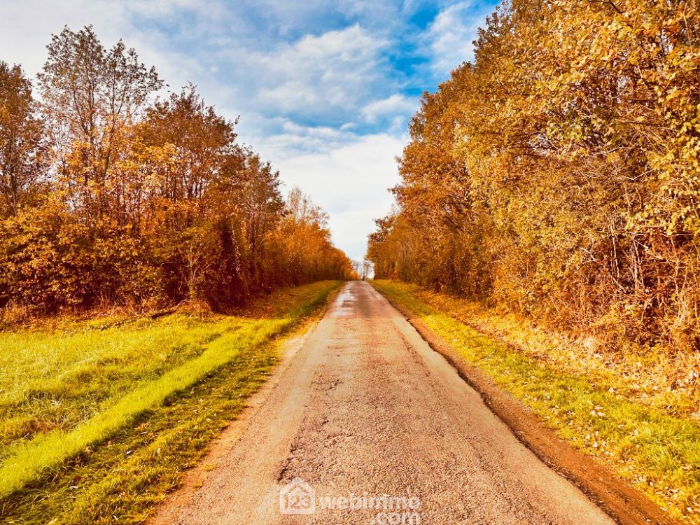 Photo 4 - Celle-Lévescault 86600 à Celle-Lévescault