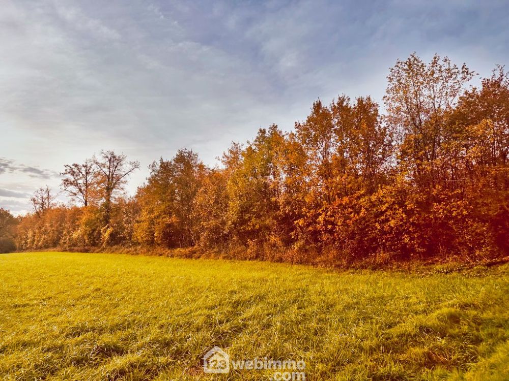 Photo 5 - Celle-Lévescault 86600 à Celle-Lévescault