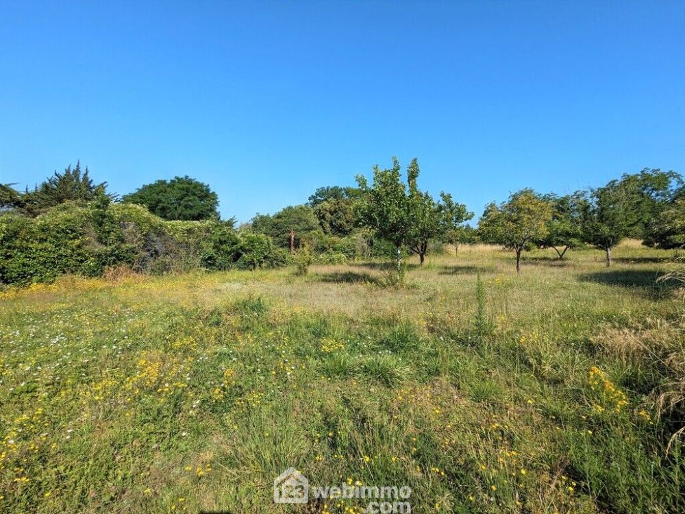 Photo 1 - Brion 49250 à Brion