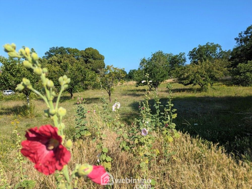 Photo 3 - Brion 49250 à Brion
