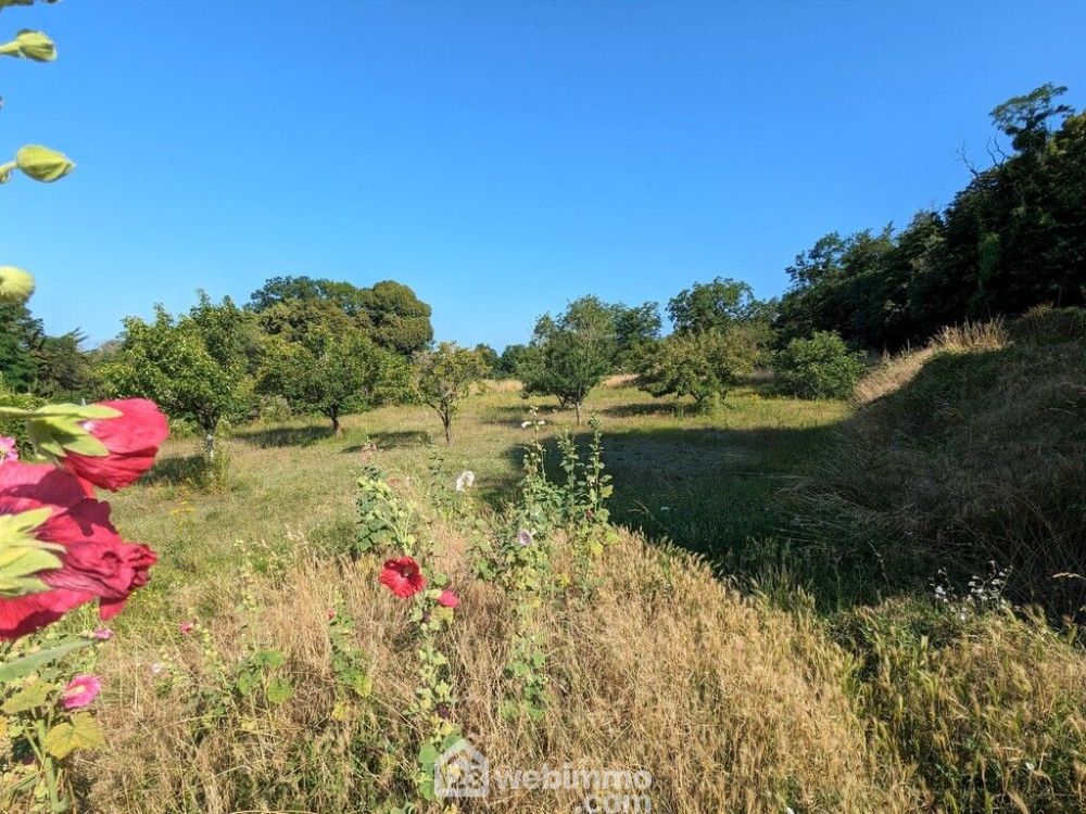 Photo 4 - Brion 49250 à Brion