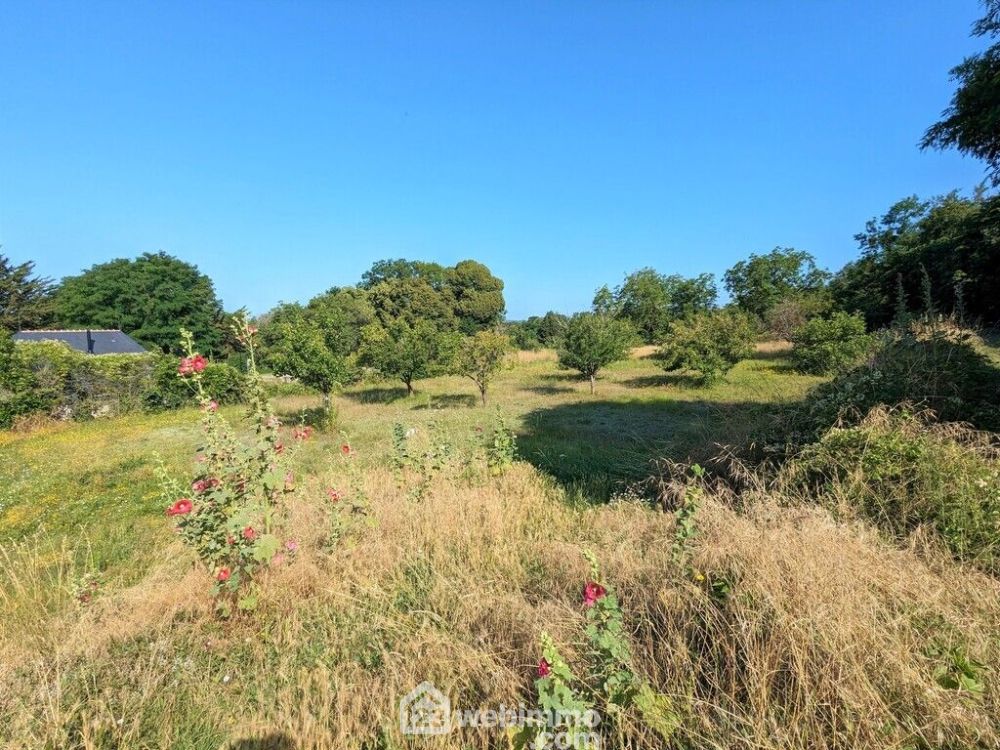 Photo 6 - Brion 49250 à Brion