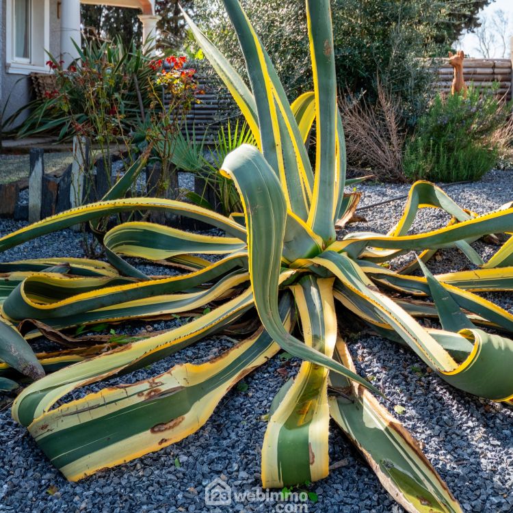 Photo 24 - Villeneuve-lès-Béziers 34420 à Villeneuve-lès-Béziers