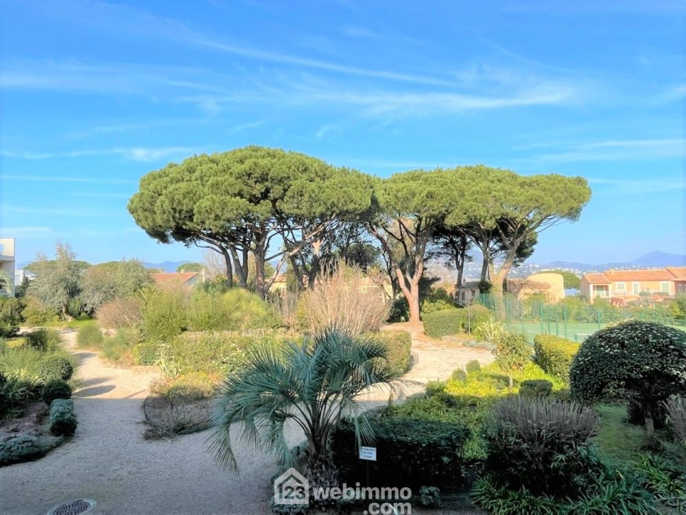 Photo 13 - Saint-Tropez 83990 à Saint-Tropez