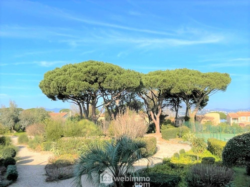 Photo 1 - Saint-Tropez 83990 à Saint-Tropez