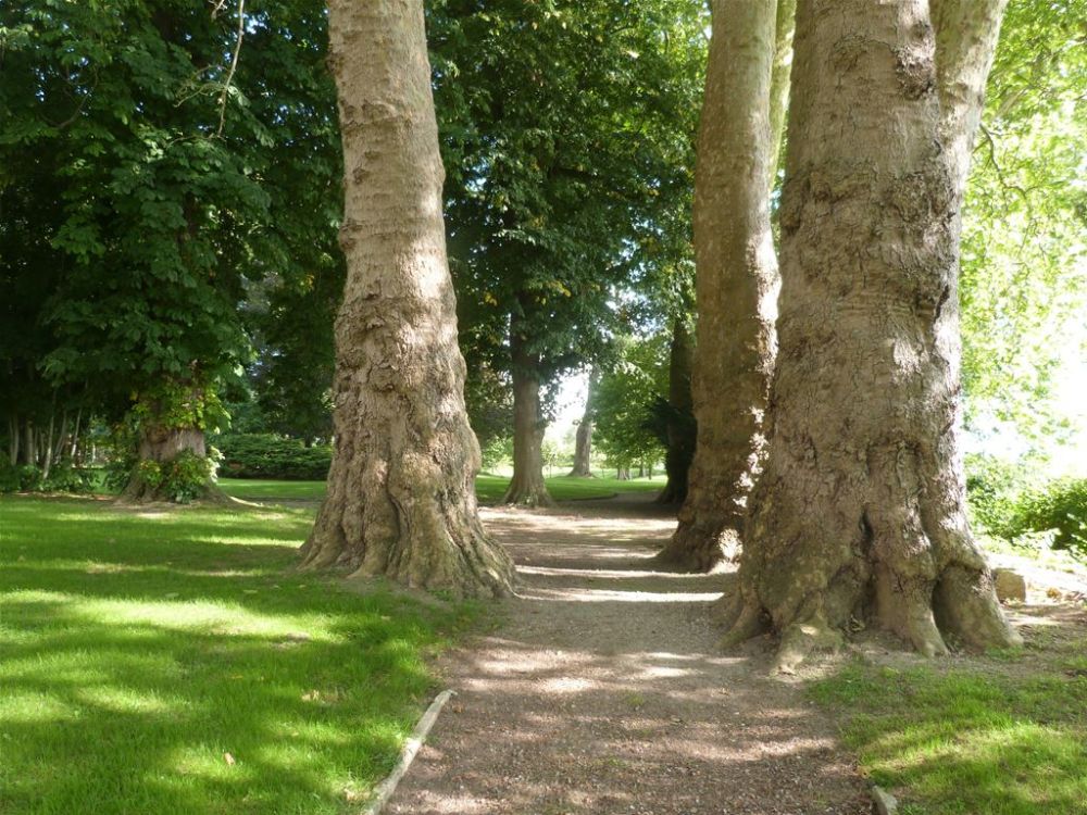 Photo 31 - Hénouville 76840 à Hénouville