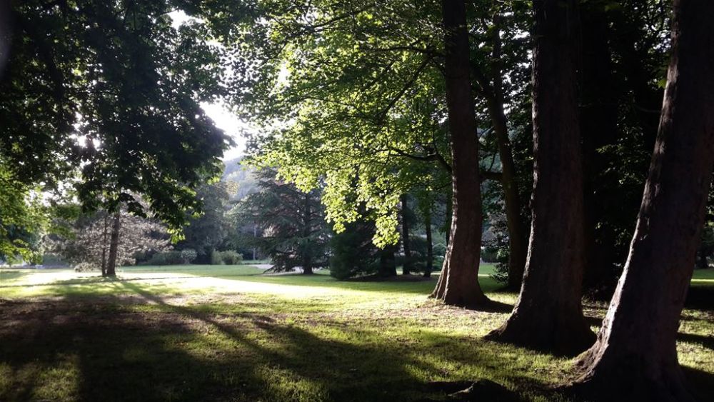 Photo 37 - Hénouville 76840 à Hénouville