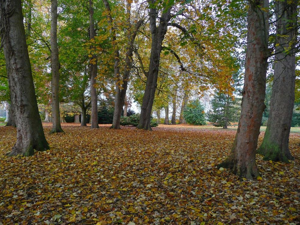 Photo 52 - Hénouville 76840 à Hénouville