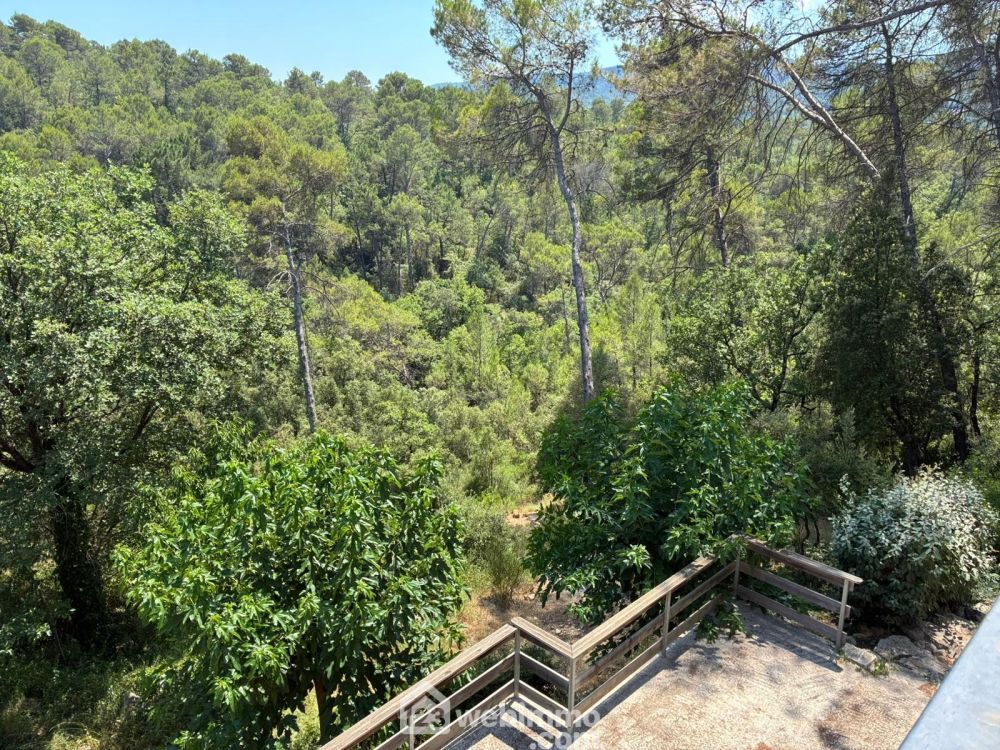 Photo 8 - Le Thoronet 83340 à Le Thoronet