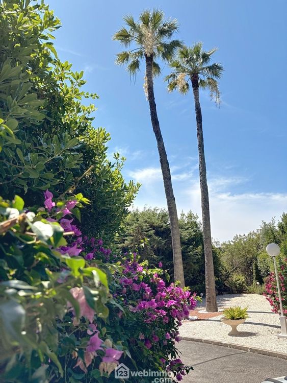 Photo 12 - Cannes 06400 à Cannes