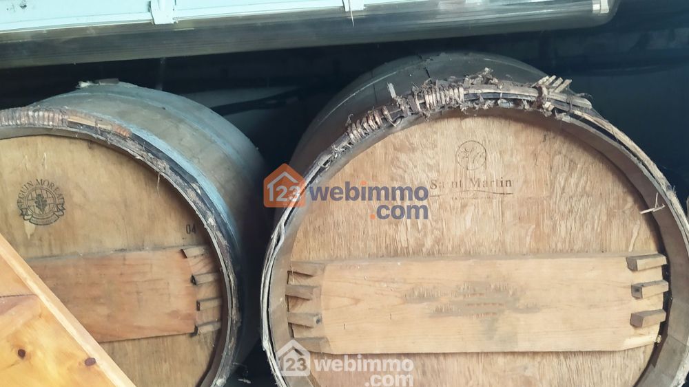 Photo 12 - Saintes-Maries-de-la-Mer 13460 à Saintes-Maries-de-la-Mer