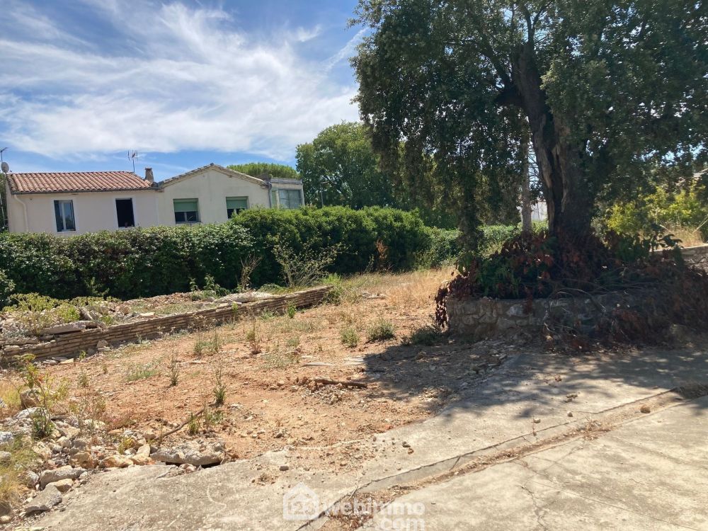 Photo 3 - Vendargues 34740 à Vendargues