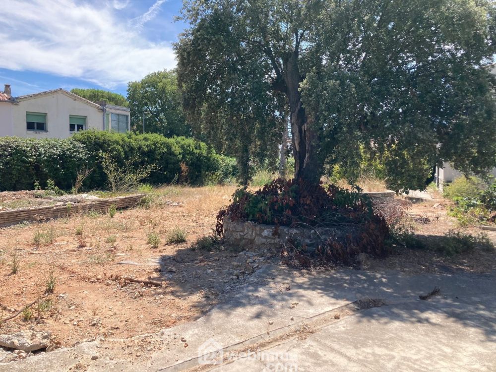 Photo 6 - Vendargues 34740 à Vendargues