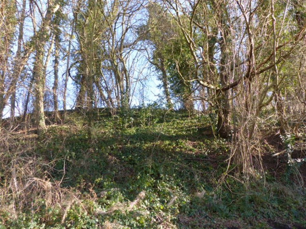 Photo 12 - Leuilly-sous-Coucy 02380 à Leuilly-sous-Coucy