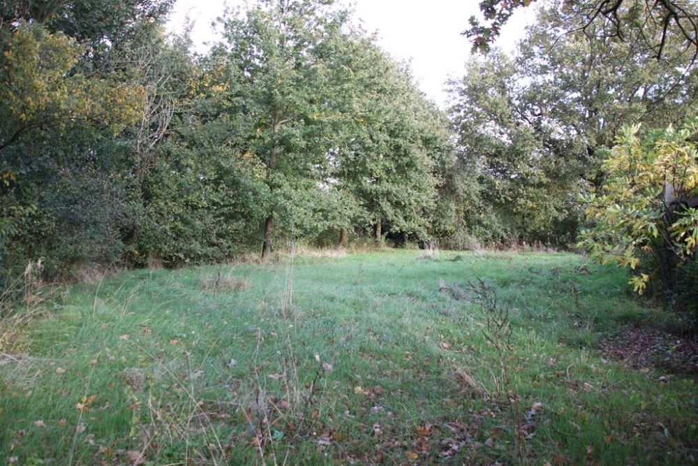 Photo 4 - Sainte-Cécile 85110 à Sainte-Cécile