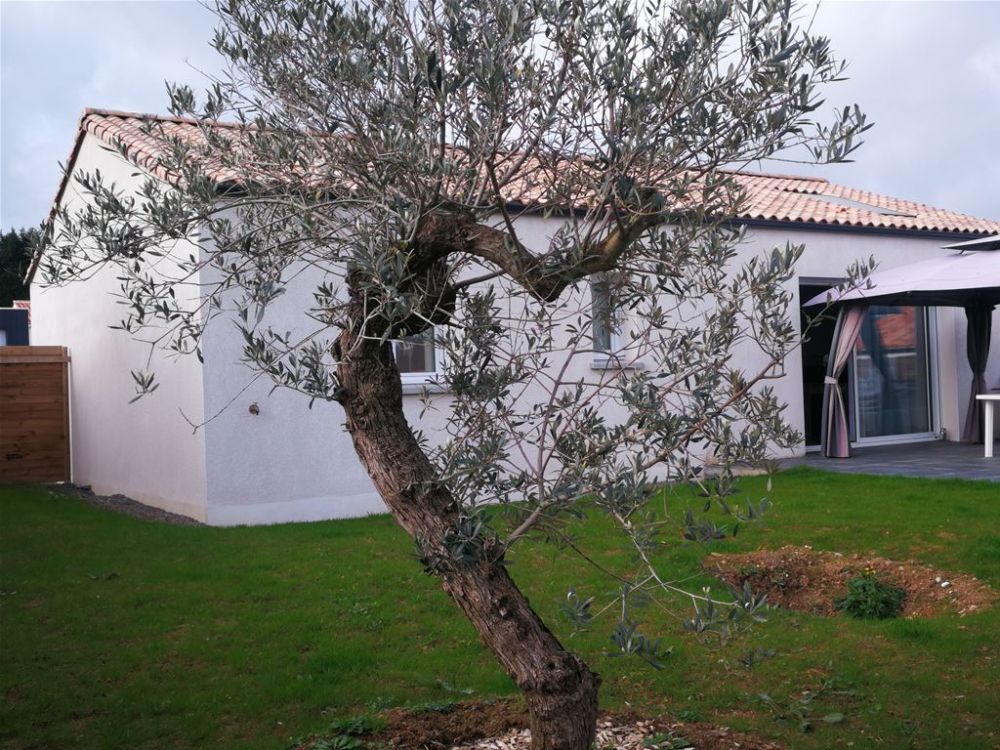 Photo 1 - Moutiers-les-Mauxfaits 85540 à Moutiers-les-Mauxfaits