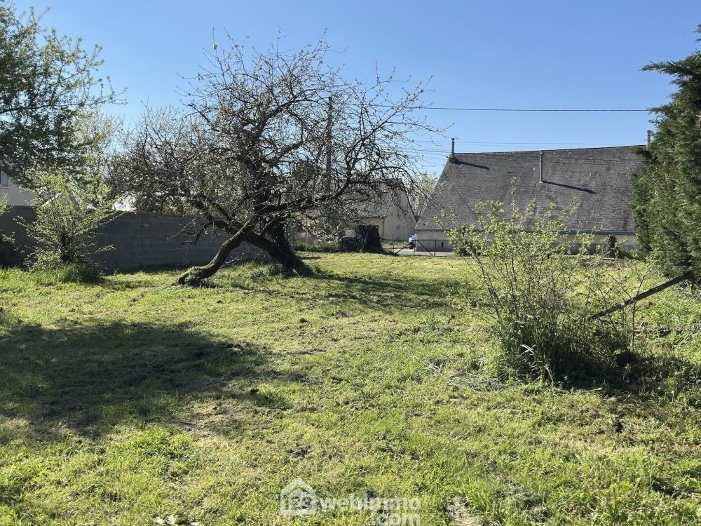 Photo 2 - Mazé-Milon 49630 à Mazé-Milon