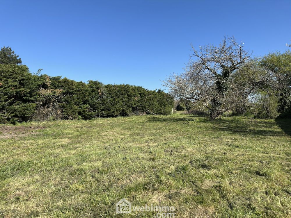 Photo 5 - Mazé-Milon 49630 à Mazé-Milon