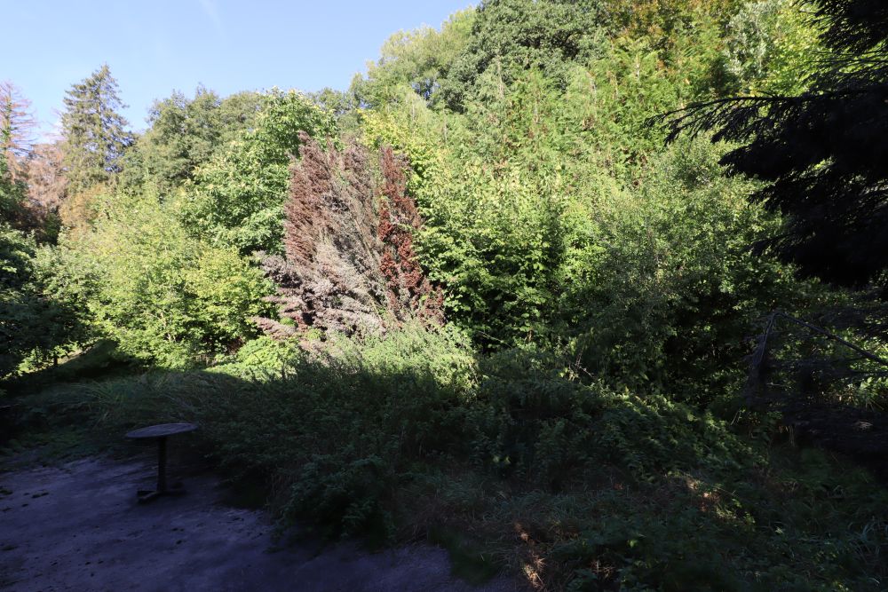 Photo 13 - Clermont-en-Argonne 55120 à Clermont-en-Argonne