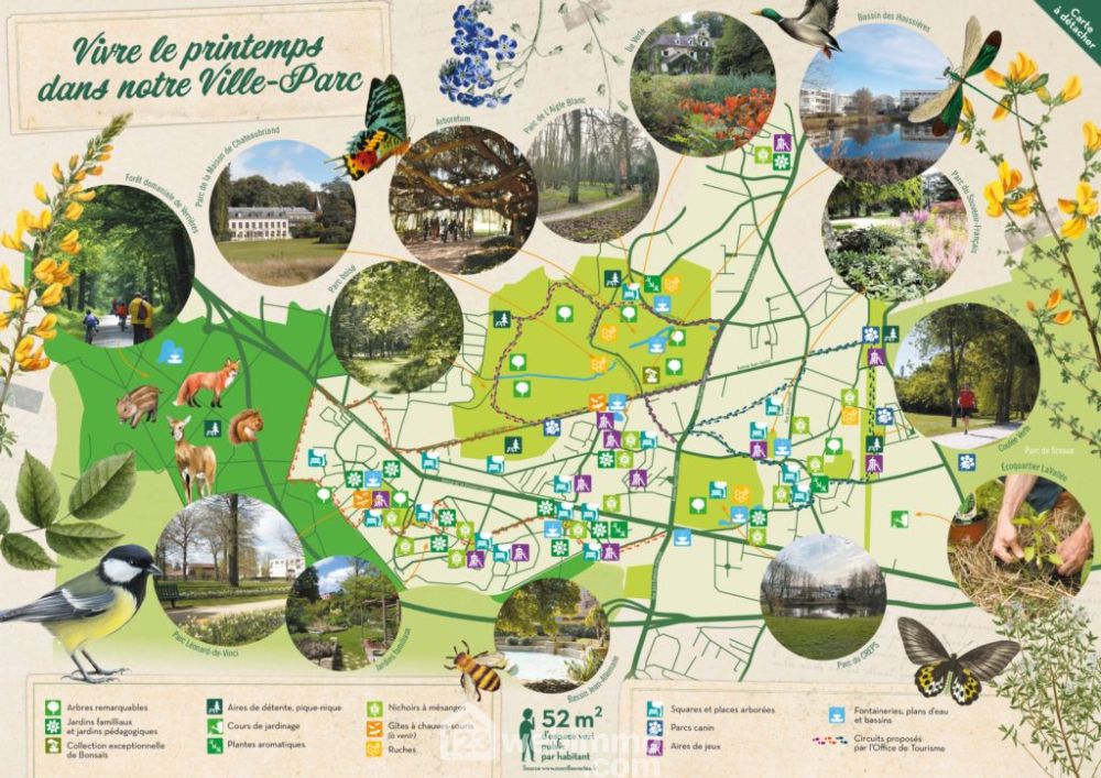 Photo 6 - chatenay malabry 92290 à chatenay malabry