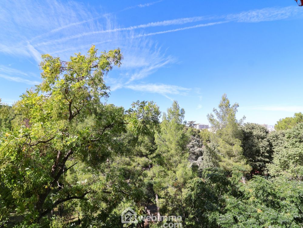 Photo 7 - Marseille 13009 à Marseille