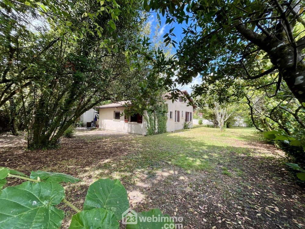 Photo 12 - Pessac 33600 à Pessac