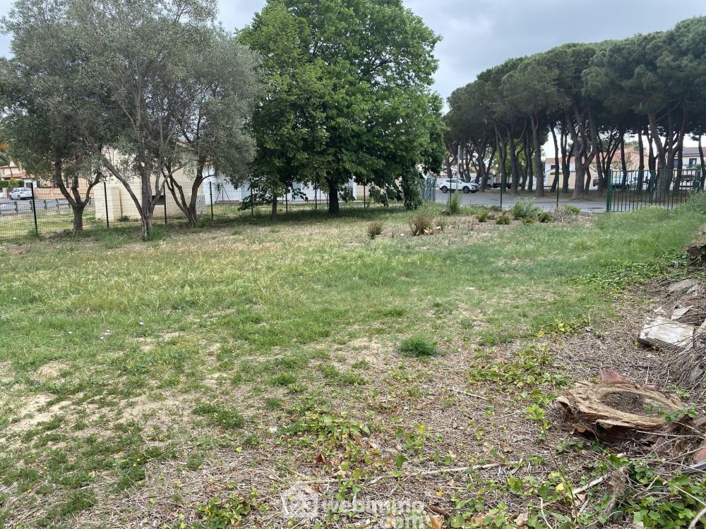 Photo 11 - Saint-Cyprien 66750 à Saint-Cyprien